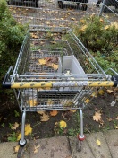 Foto: Einkaufswagen in der Grünanlage 